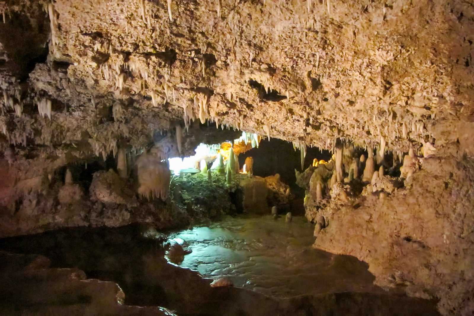 Harrison’s Cave