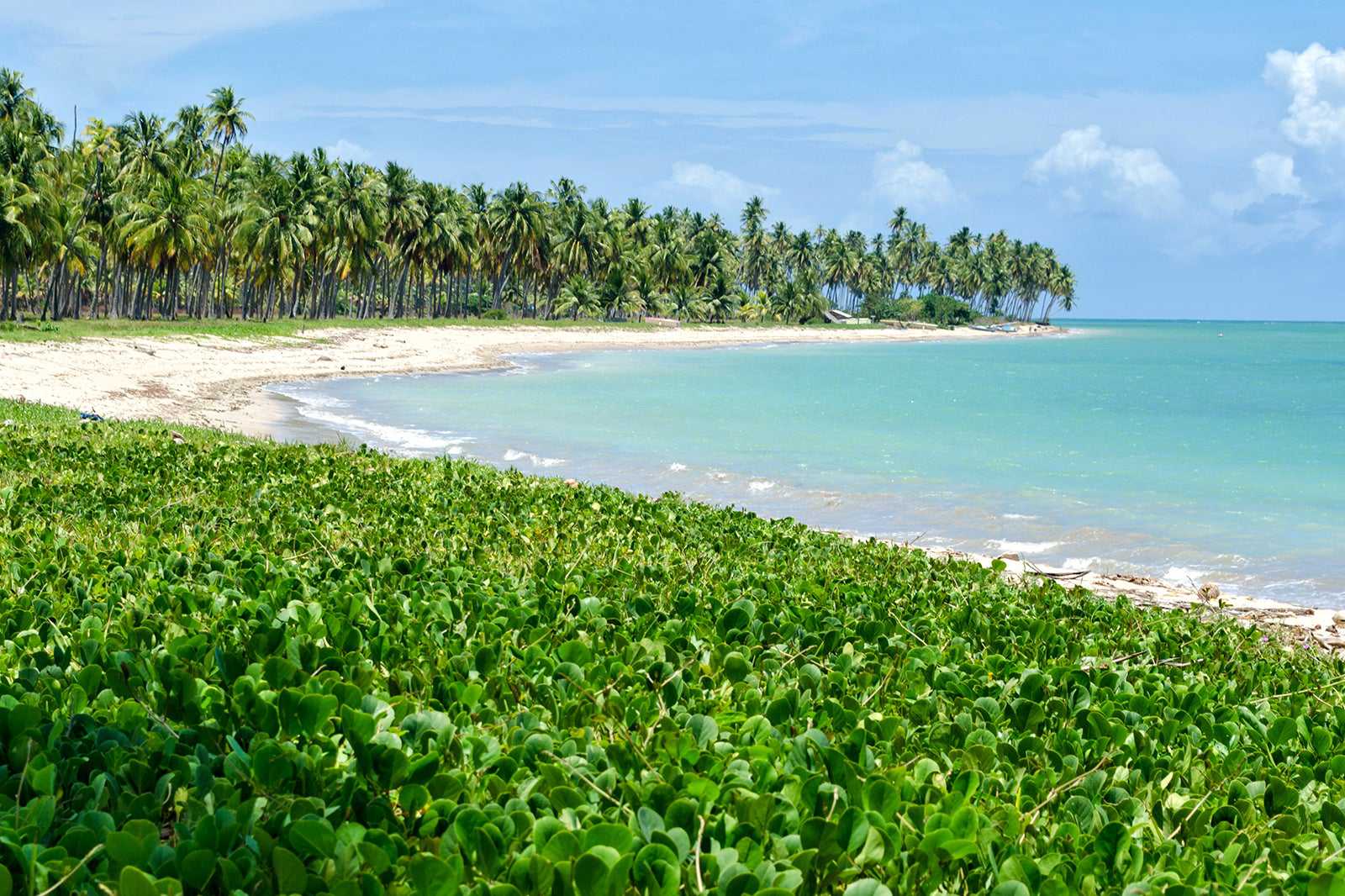 Praia do Patacho, São Miguel dos Milagres