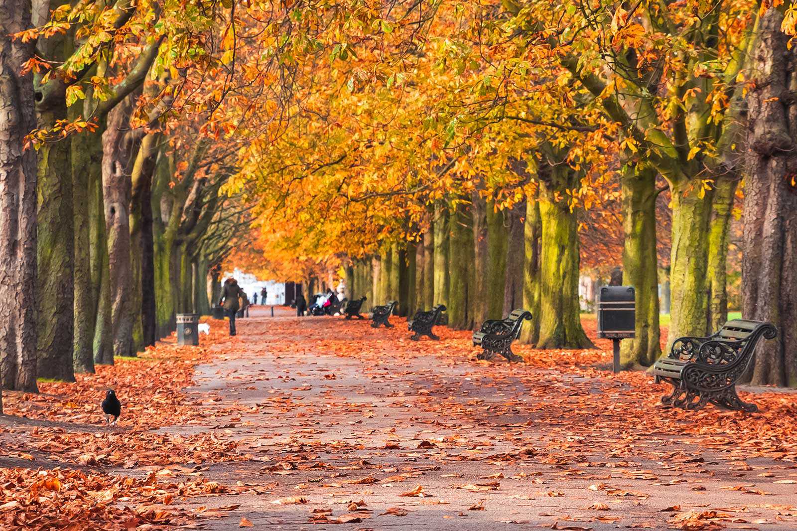 Blackheath to Greenwich Pier