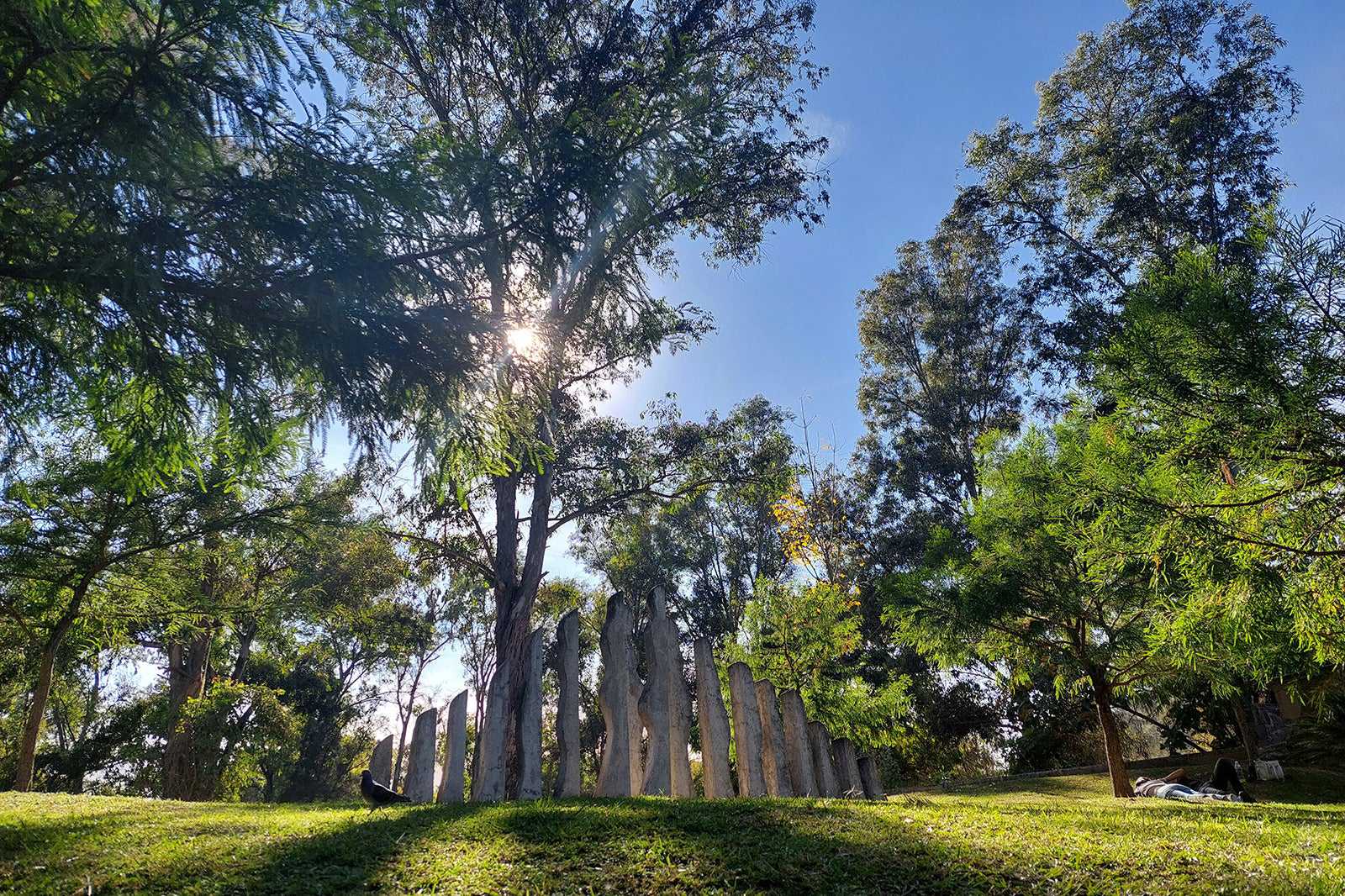 Bosque Los Colomos
