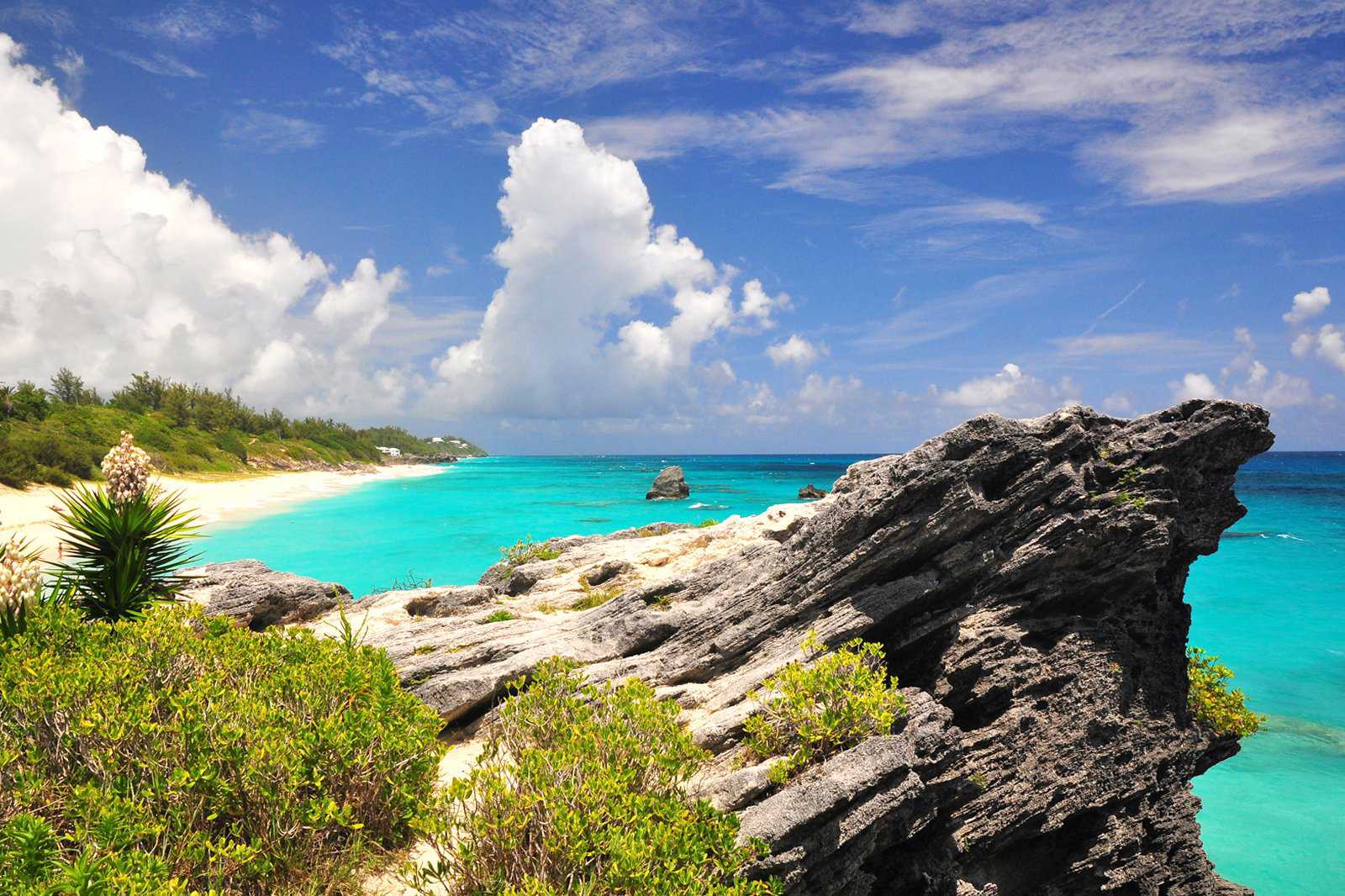 Jobson’s Cove
