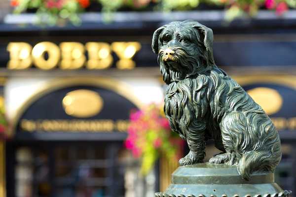 Greyfriars Bobby in Edinburgh