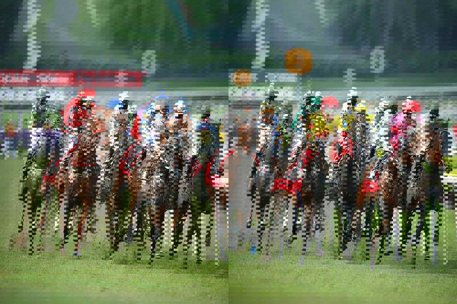 The Singapore Turf Club