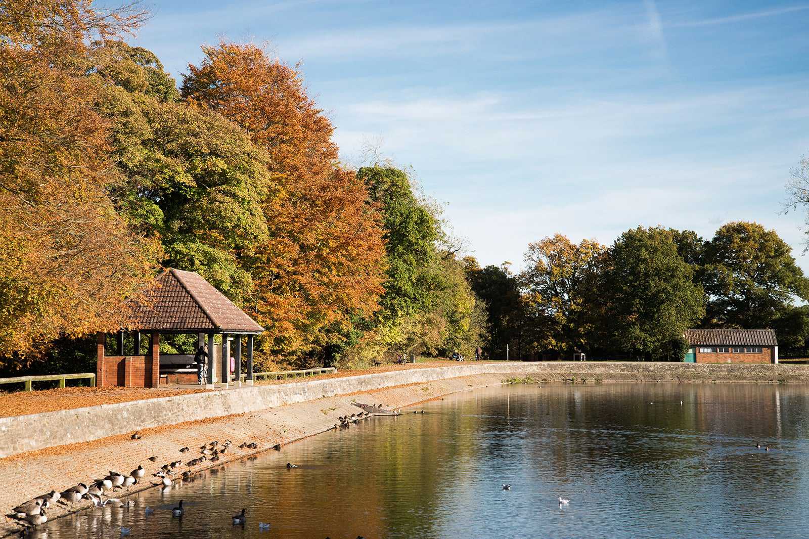 Coate Water Country Park