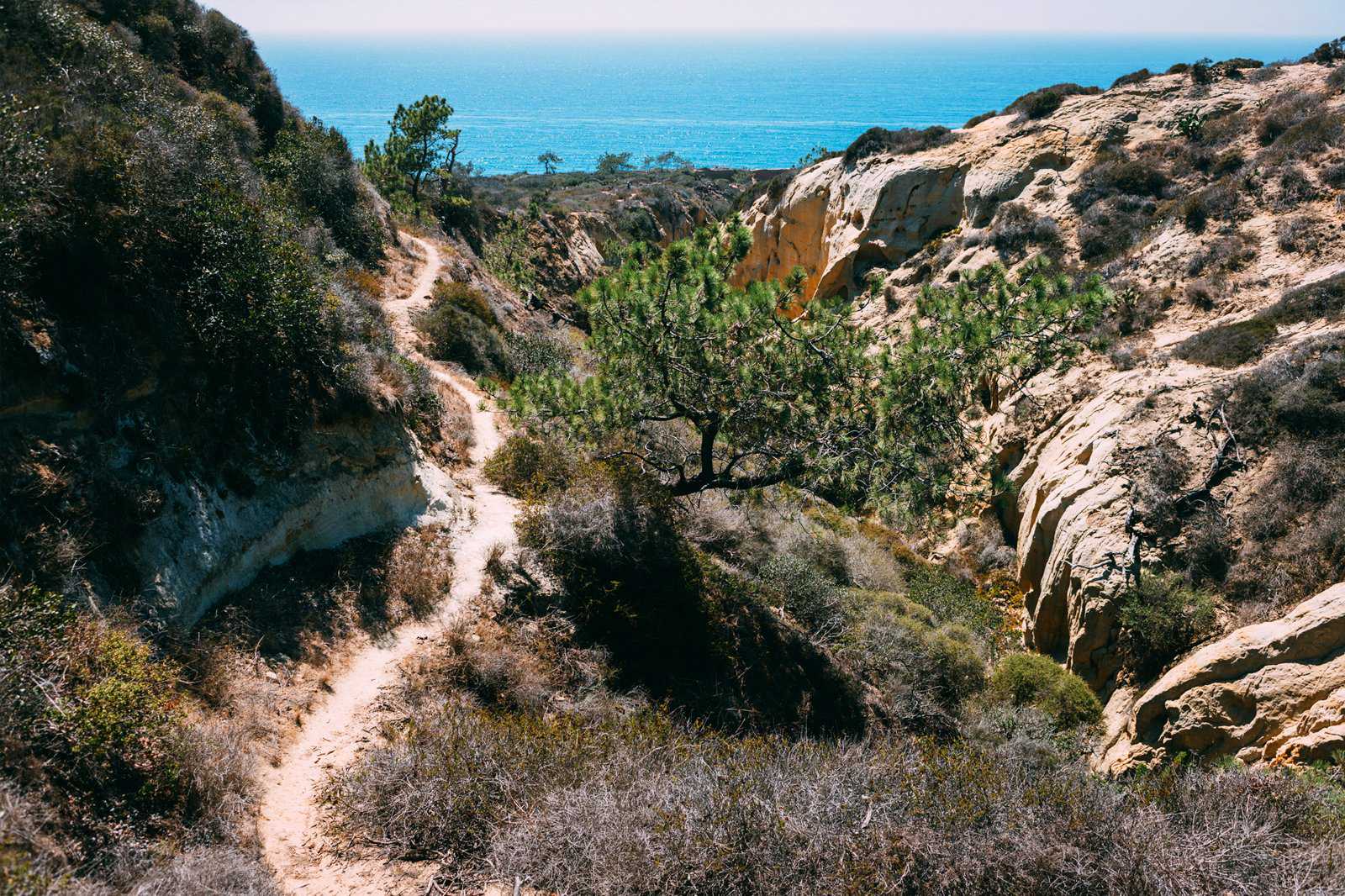 Hiking