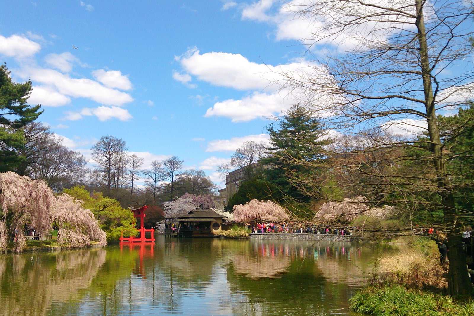 Brooklyn Botanic Garden