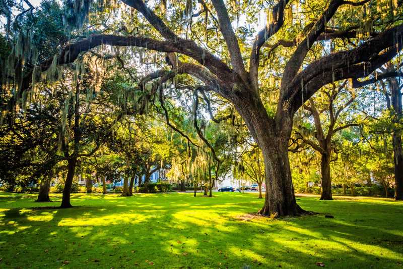 10 Best Parks and Squares in Savannah