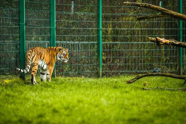 Blackpool Zoo