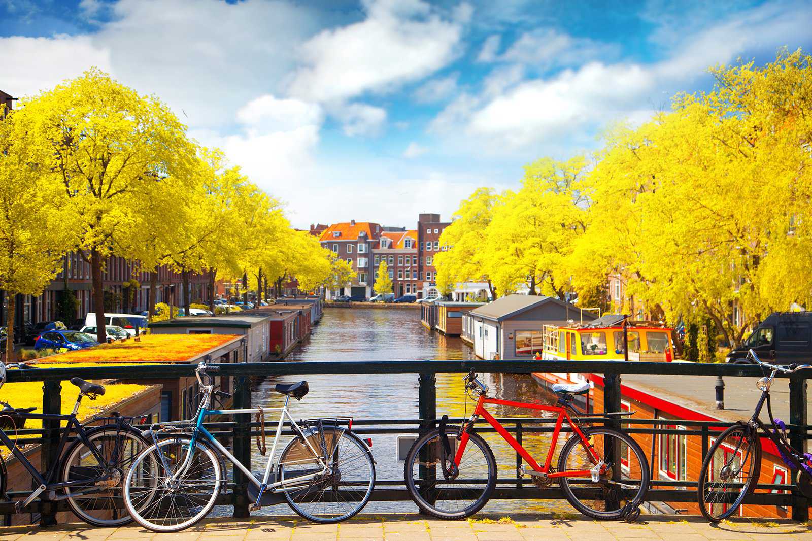 Explore Amsterdam by bike