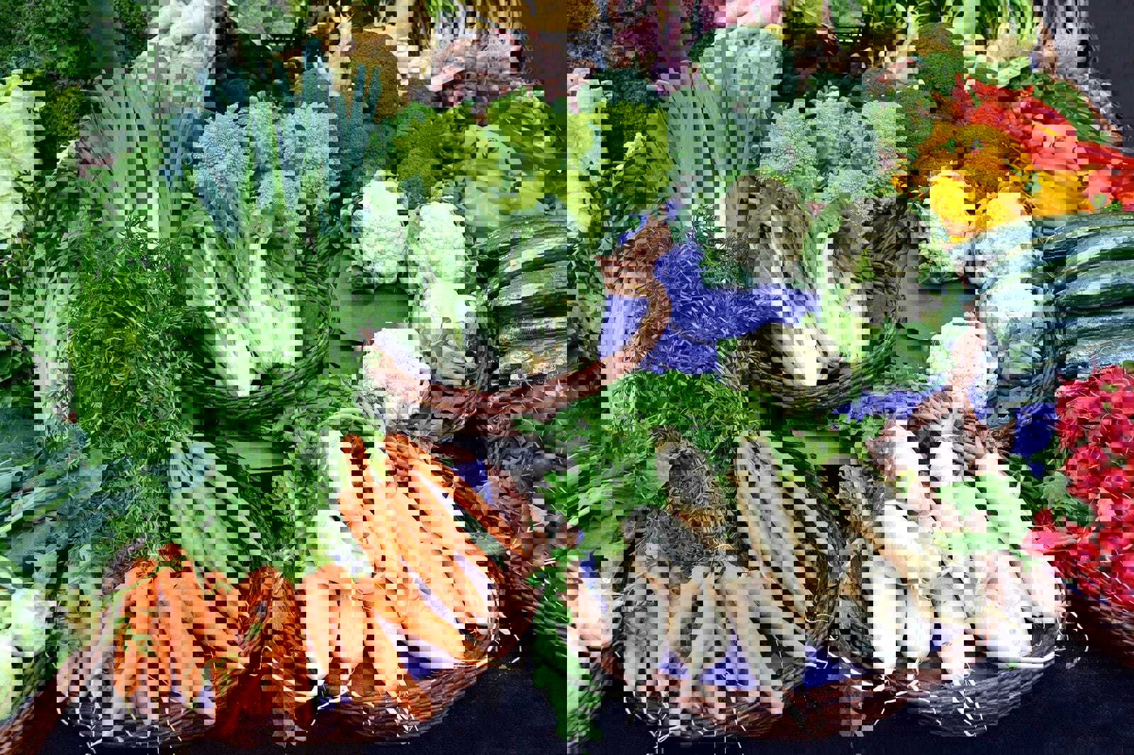 Split Green Market