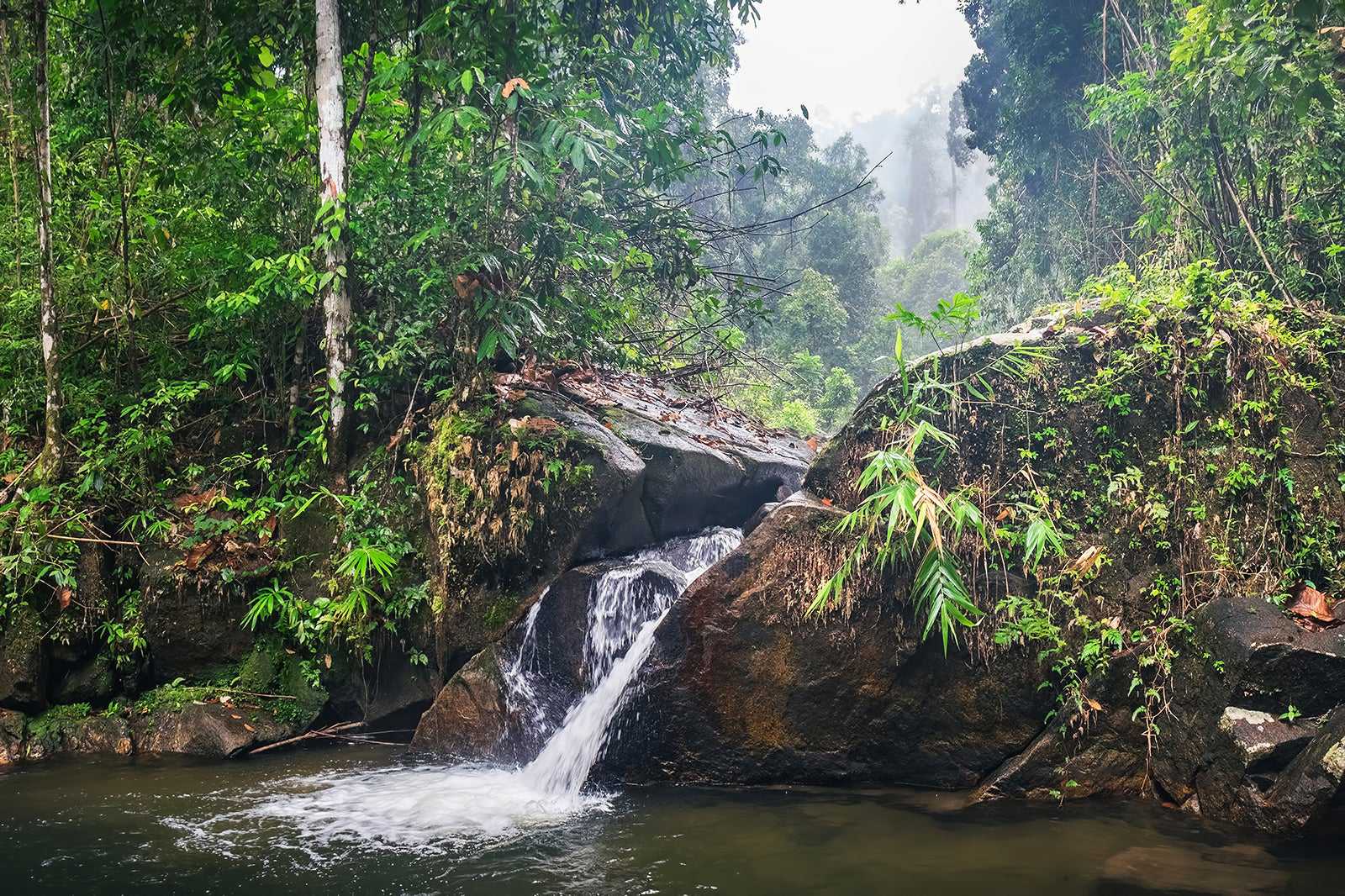 Khao Lak-Lam Ru National Park