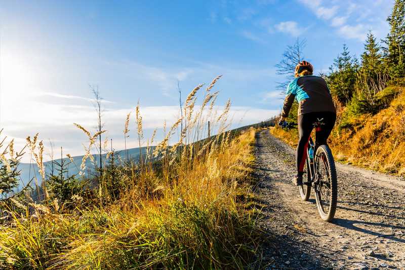 10 Things to Do in Reno on a Small Budget