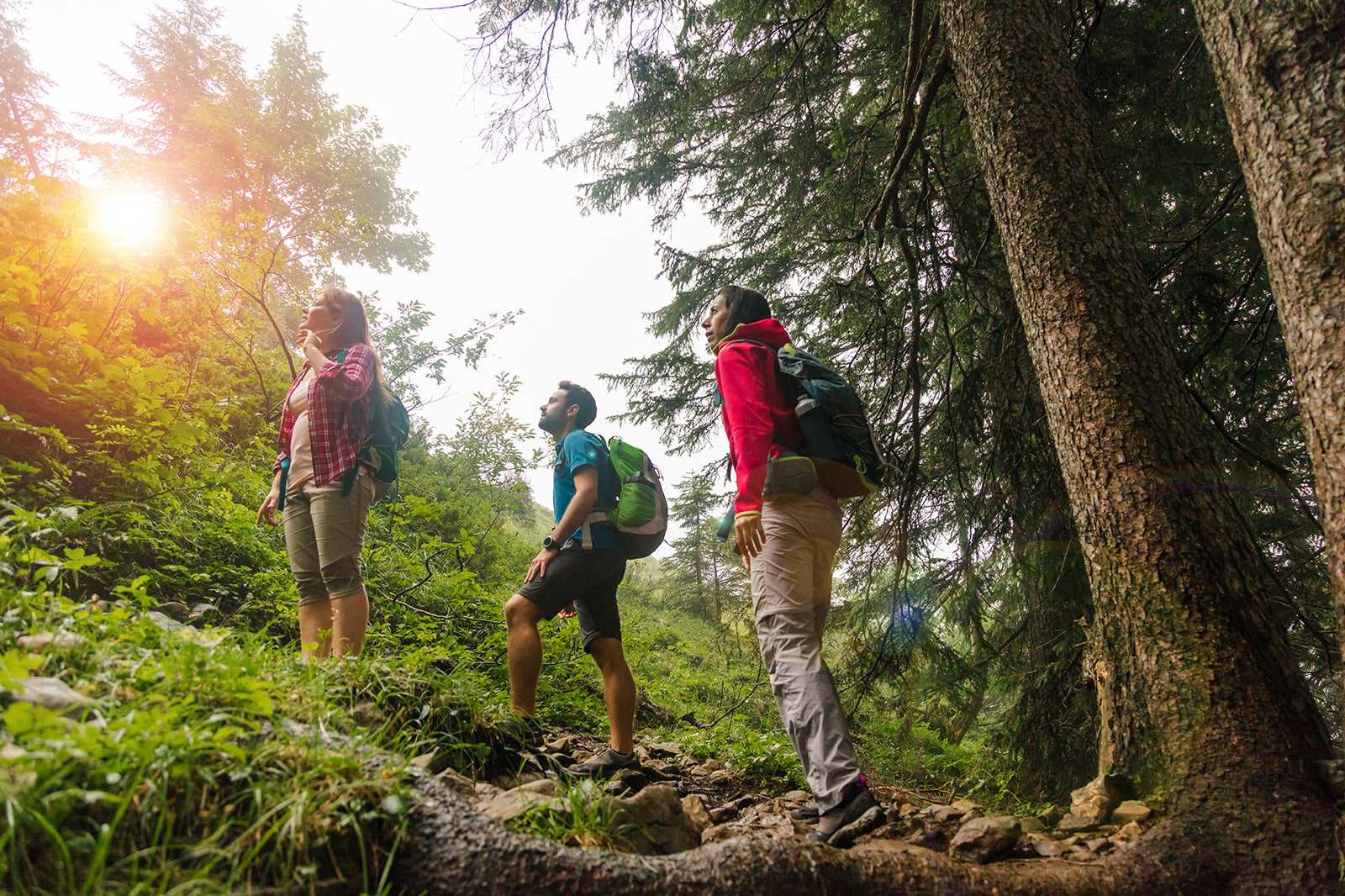 Hiking