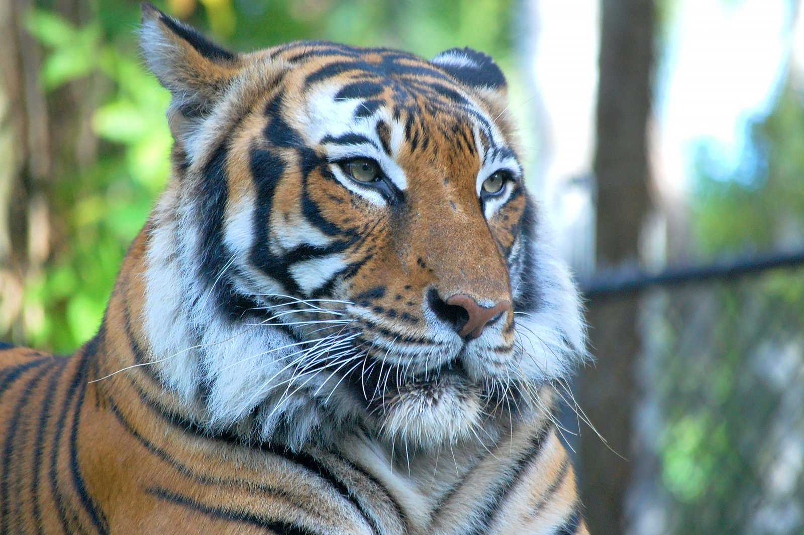 Zoo di Napoli