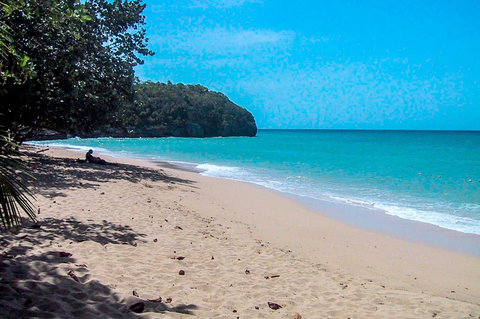 Reggae Beach