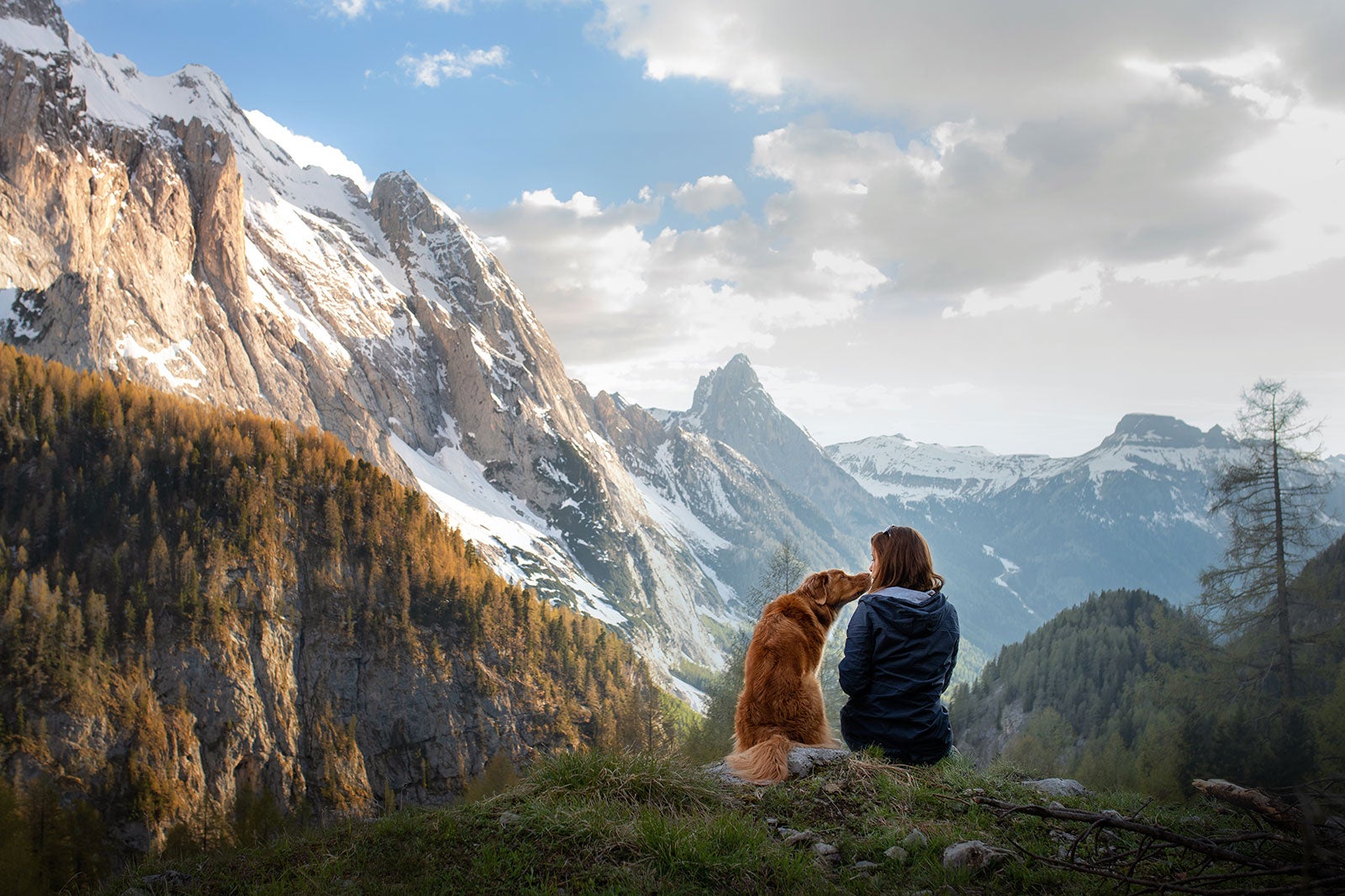 10 Best Dog Friendly Destinations in the US - Where to Travel with a ...