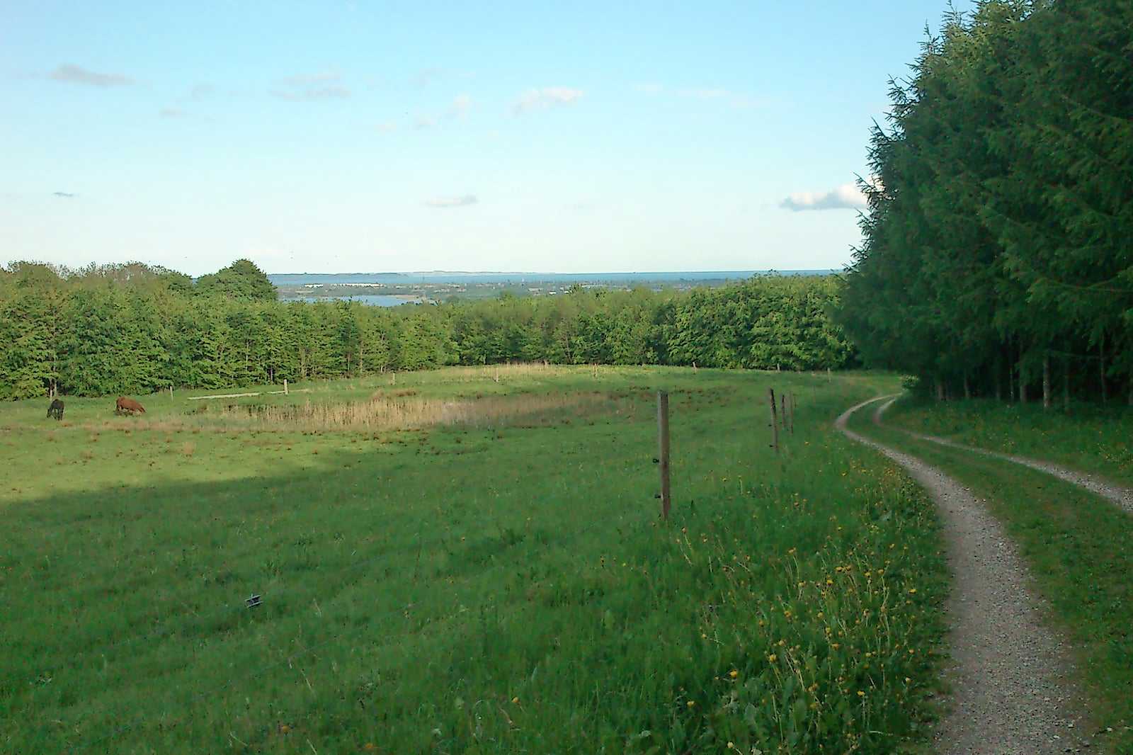 Shelter trip in Lisbjerg Forest (Lisbjerg Skov)