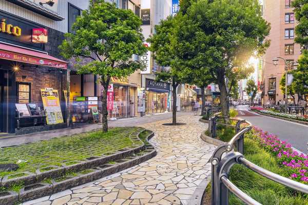 14 Most Popular Districts in Tokyo