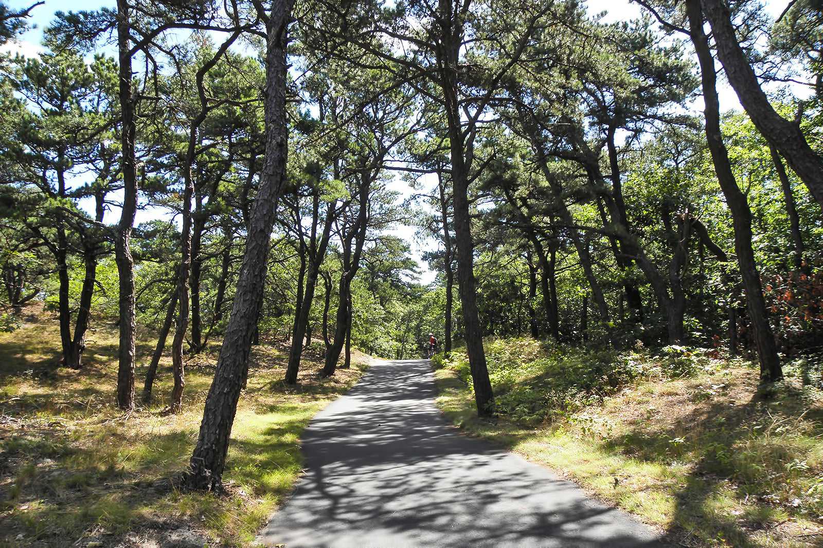 Cape Cod Rail Trail