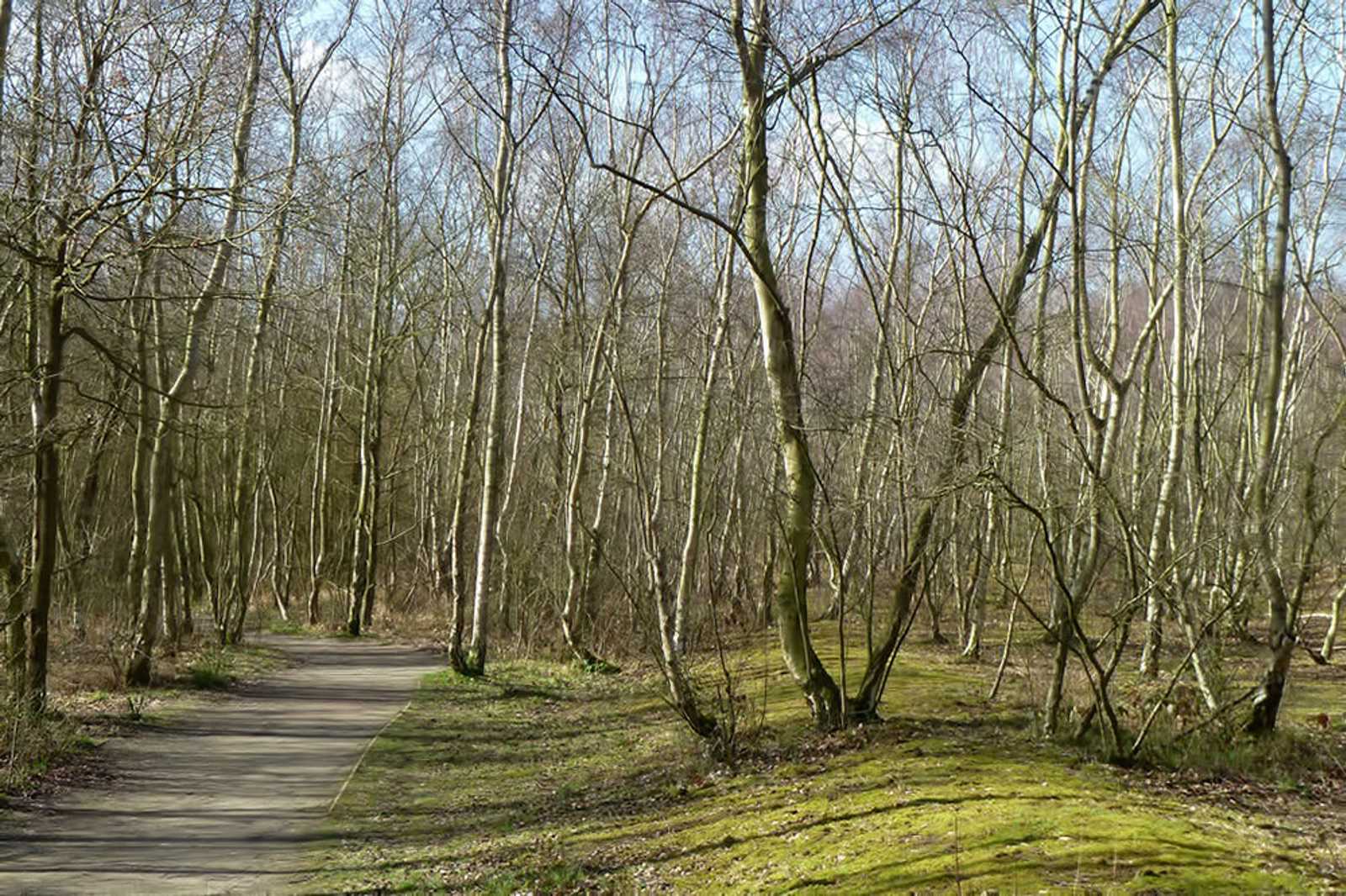 Beacon Wood Country Park
