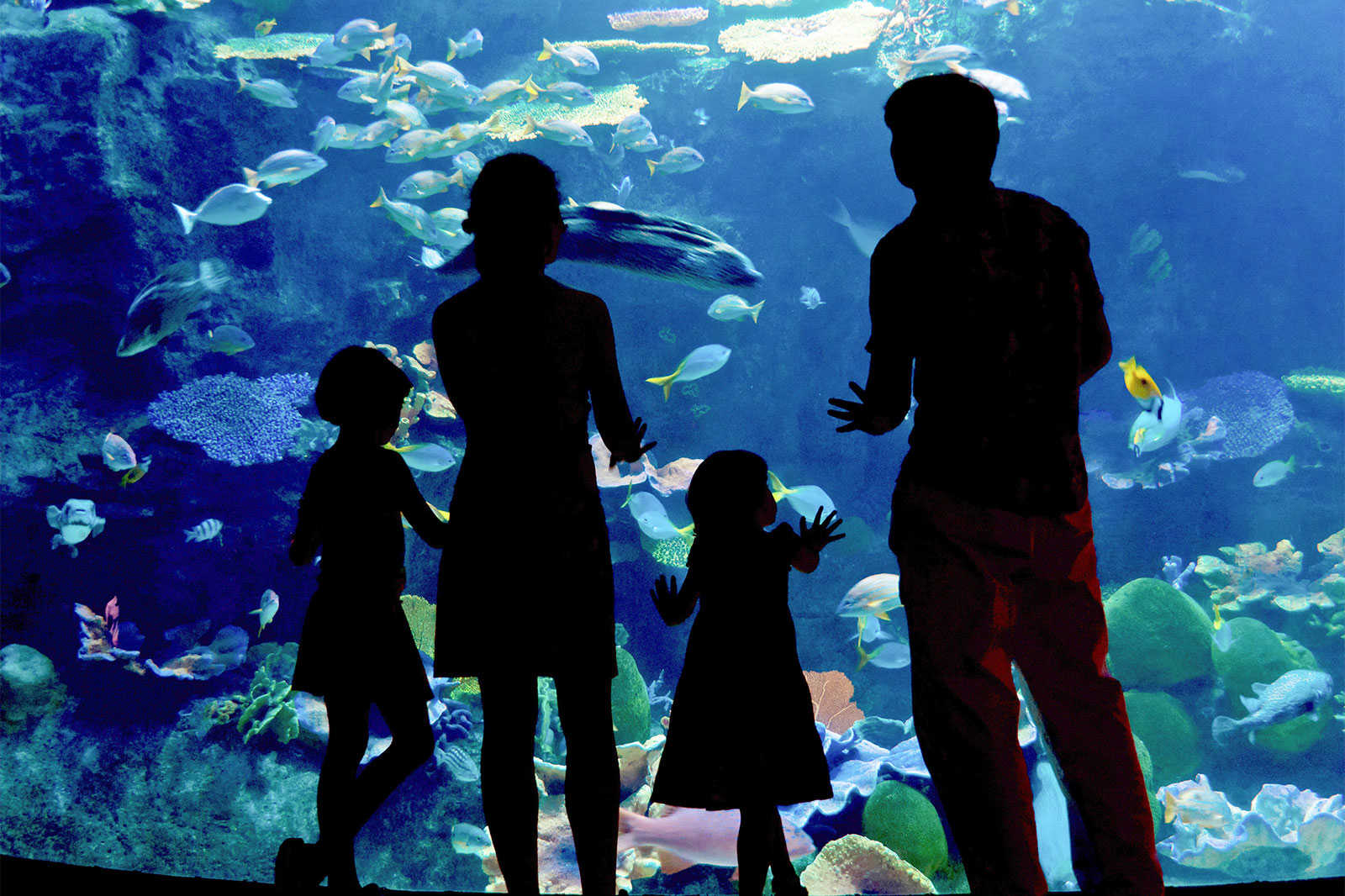 Changfeng Park and Ocean World