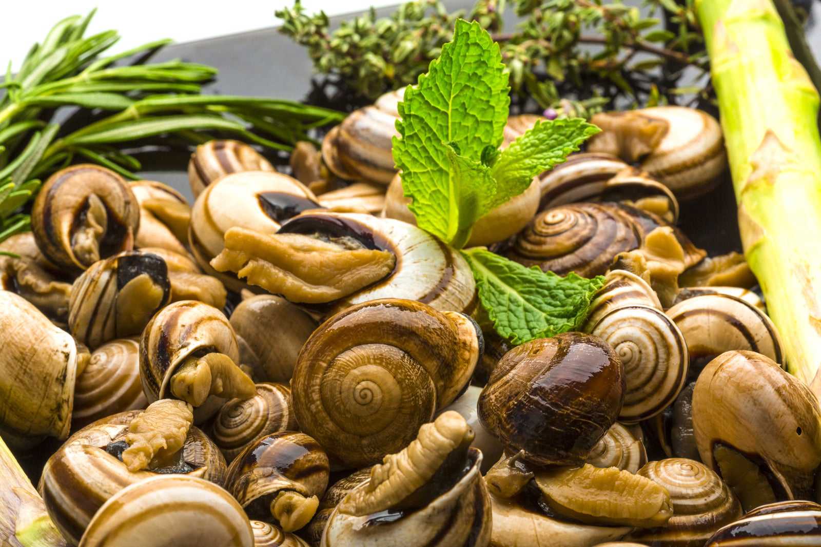 Fried snails