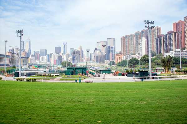 10 Best Things to Do in Causeway Bay