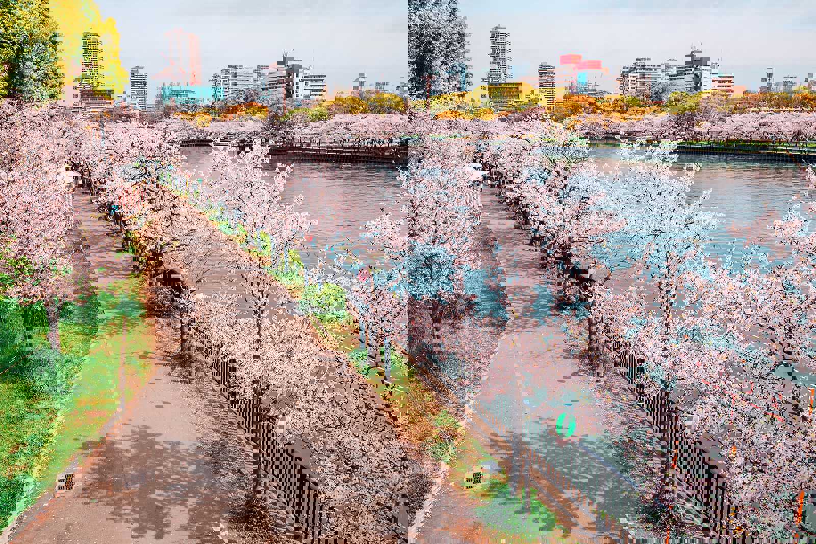 毛马樱之宫公园