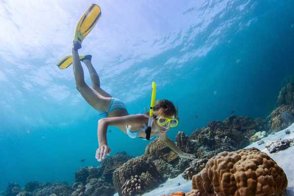 10 Best Places to Go Snorkelling in Key West