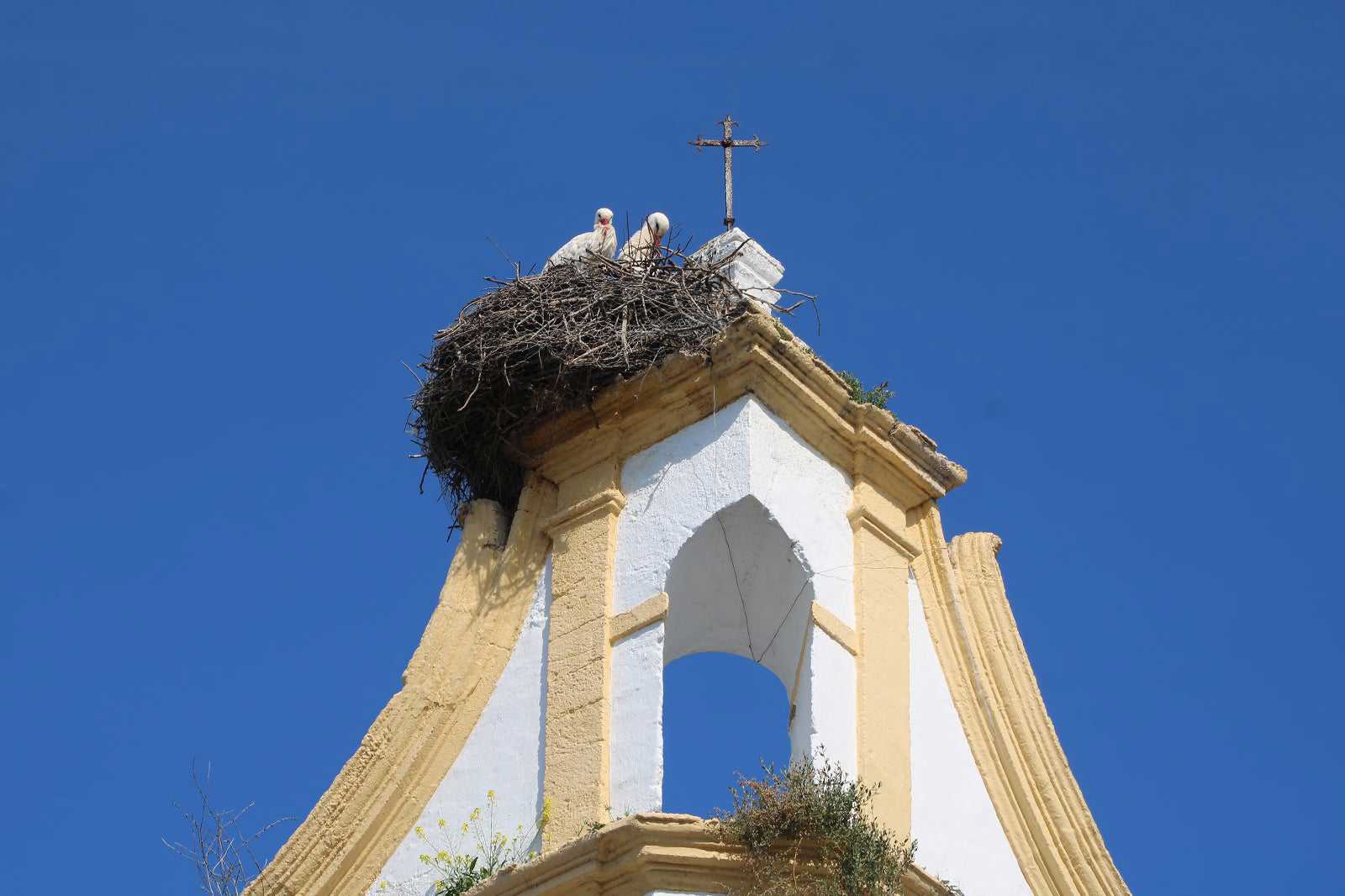 Visit San Telmo church