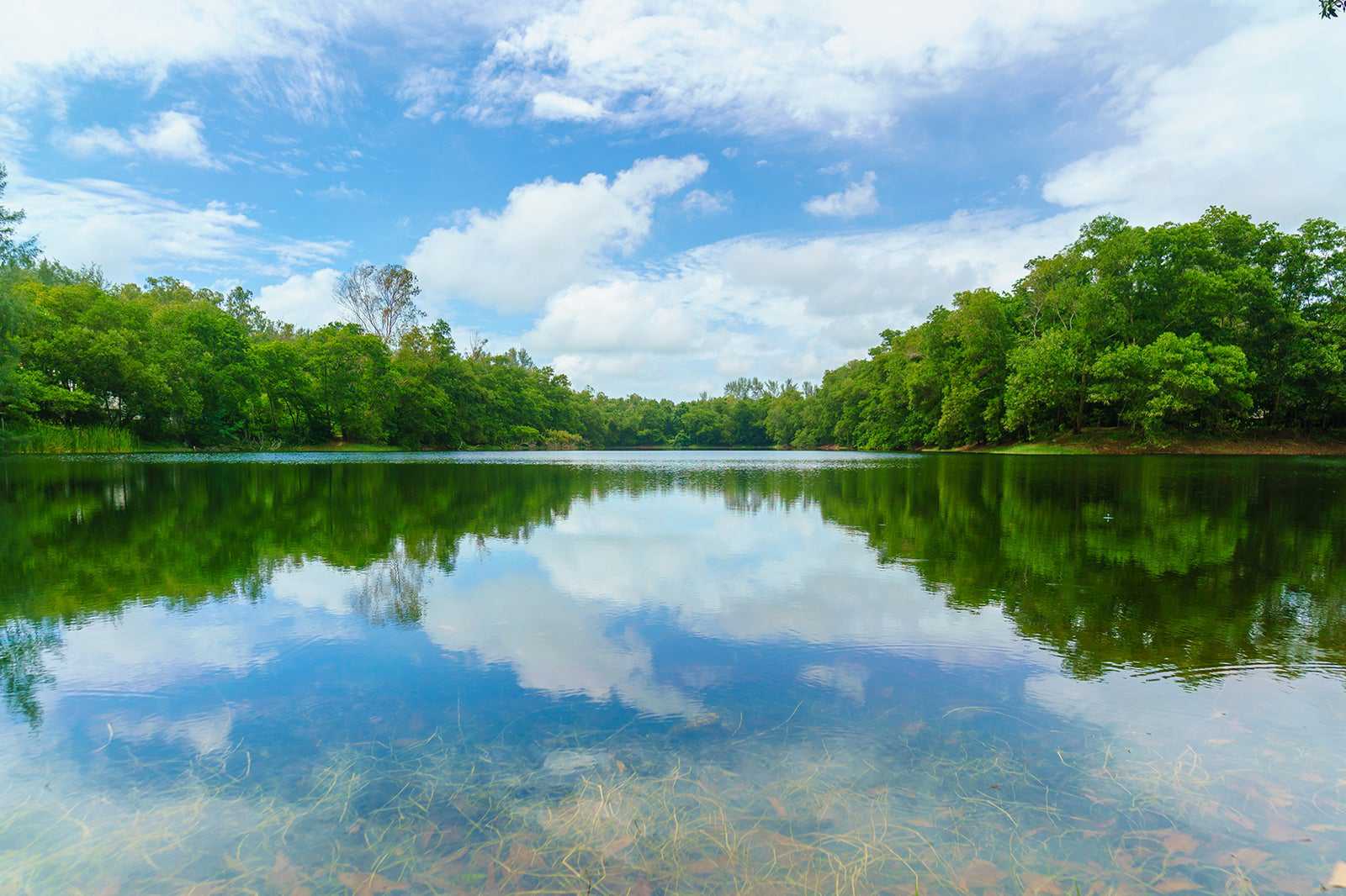 Cherry Lakes
