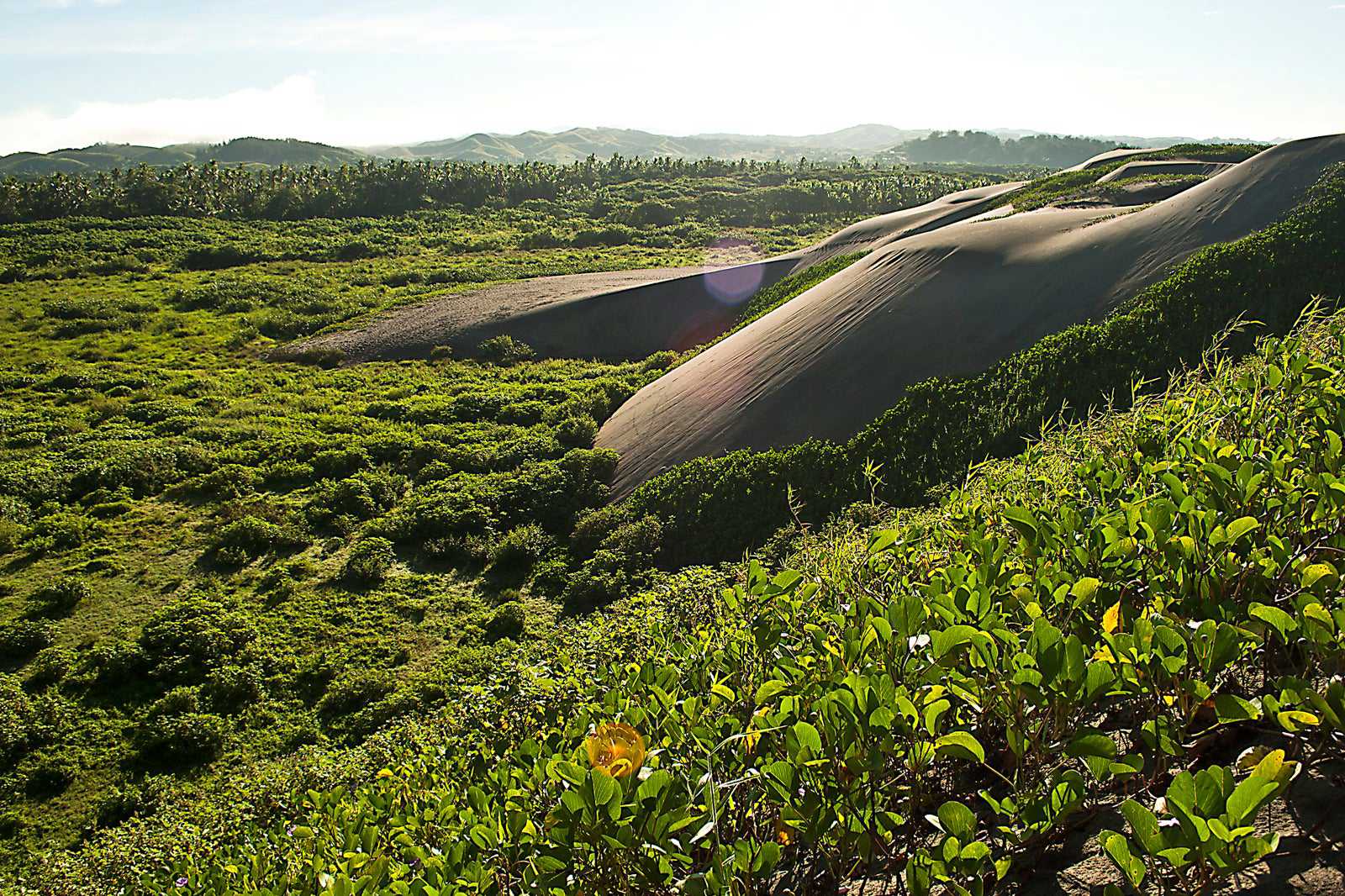Sigatoka Sand Dunes National Park