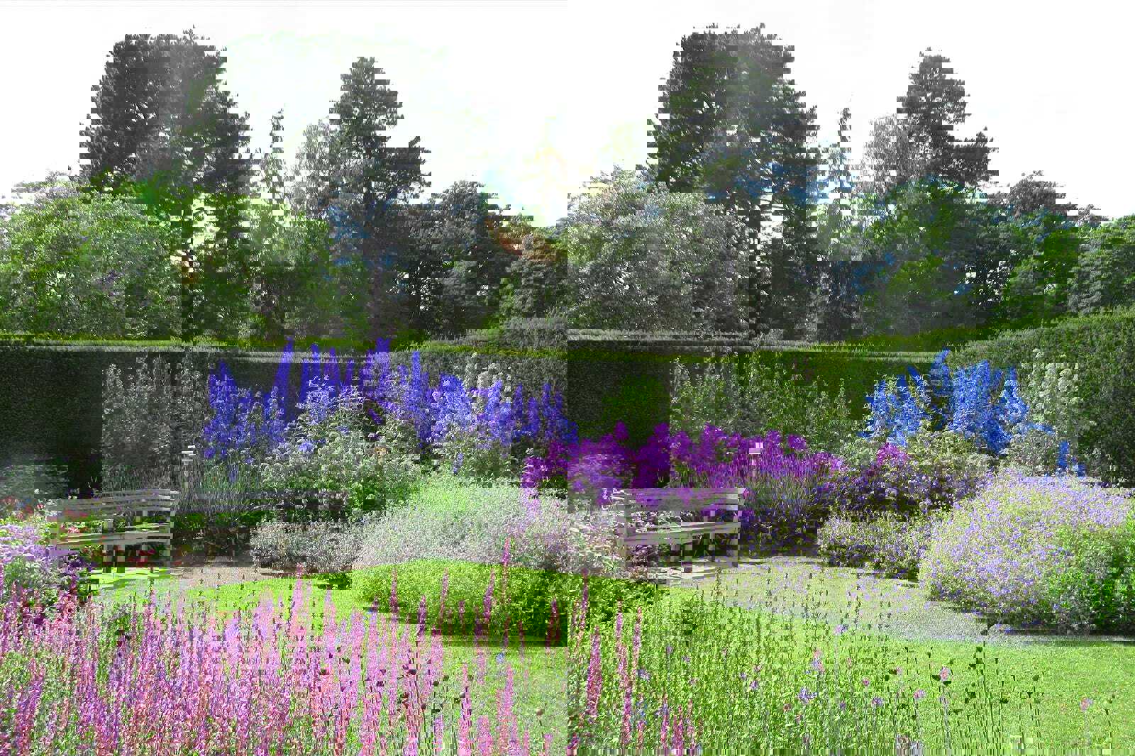 The Savill Garden