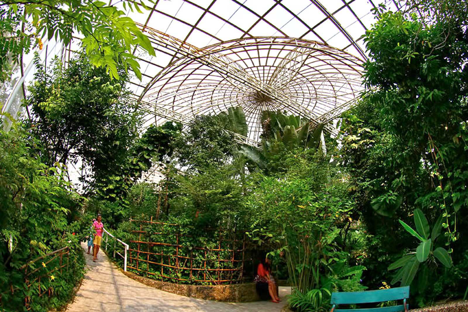 Bangkok Butterfly Garden & Insectarium
