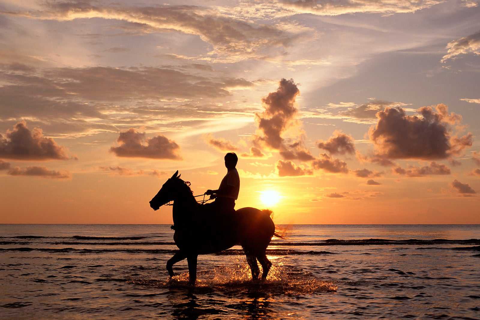 Horse riding