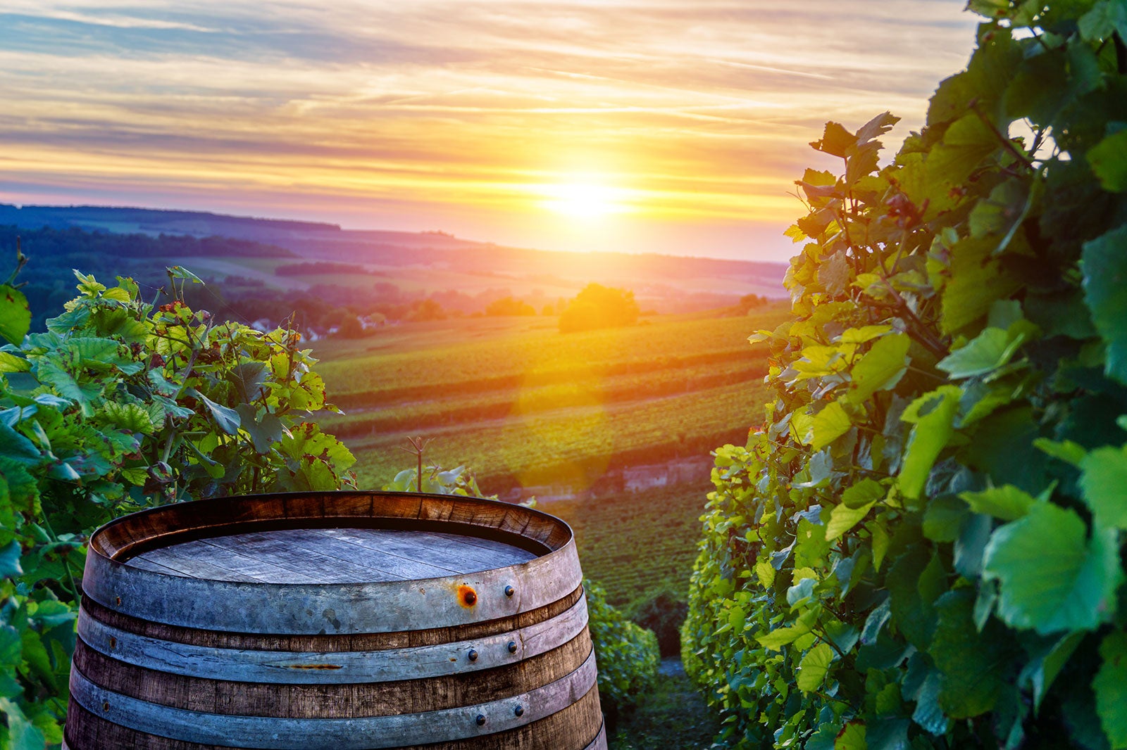 10 Best Wineries Around Portland - Explore Northwest Oregon’s Best ...