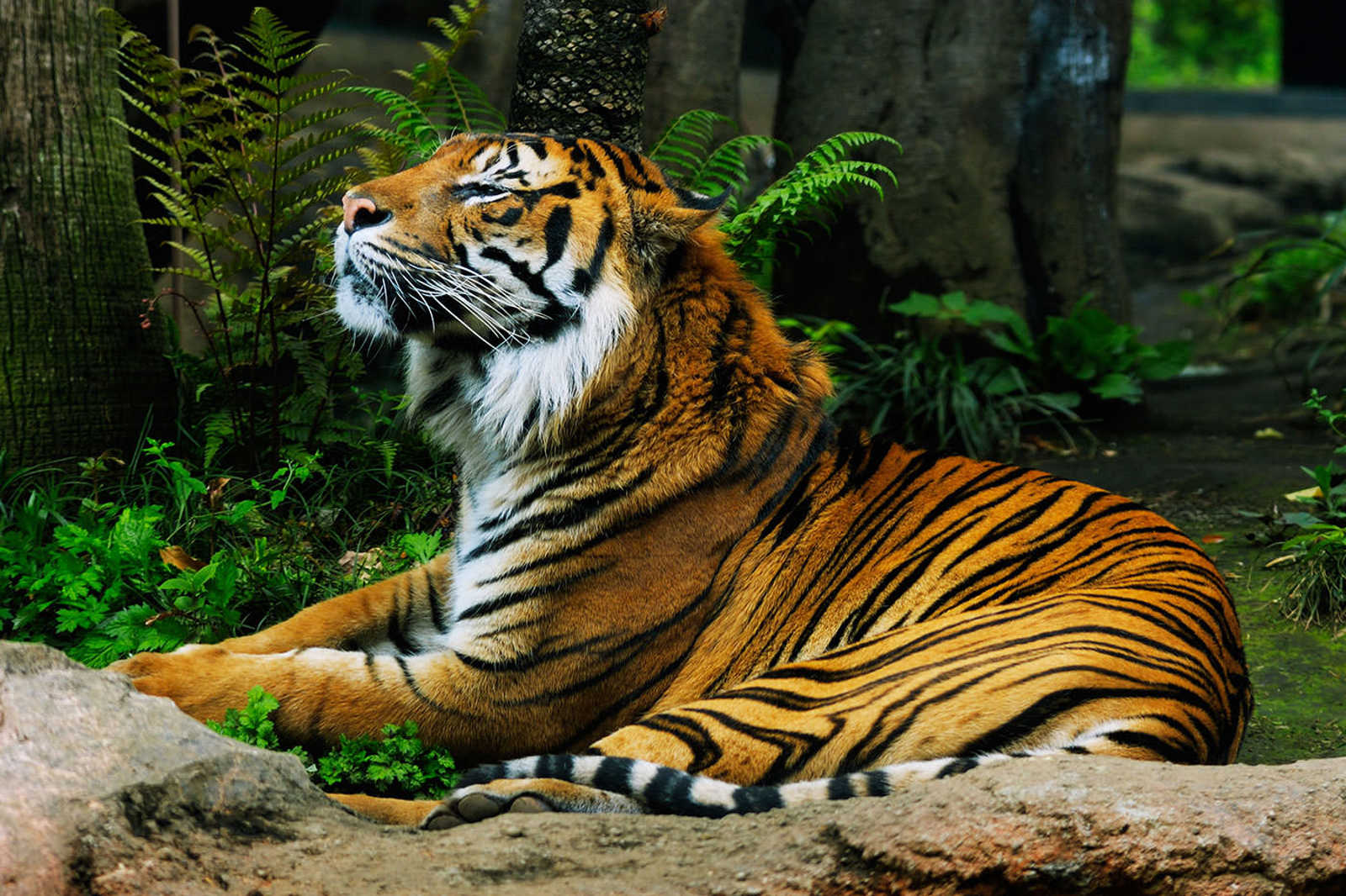 Wilhelma Zoo & Botanical Garden