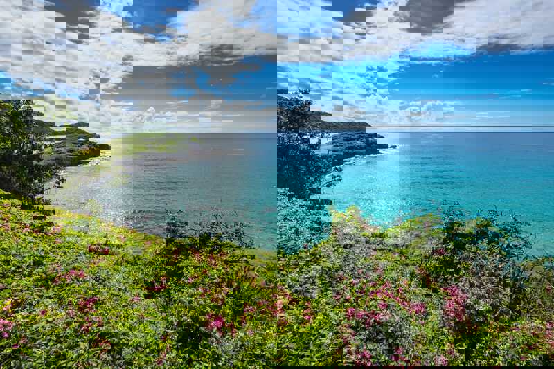 10 Best Places to Explore in Barbuda