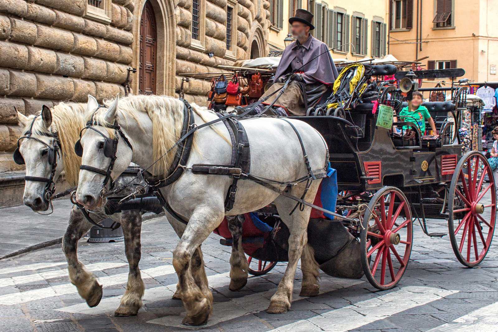 Horse-drawn carriage tour