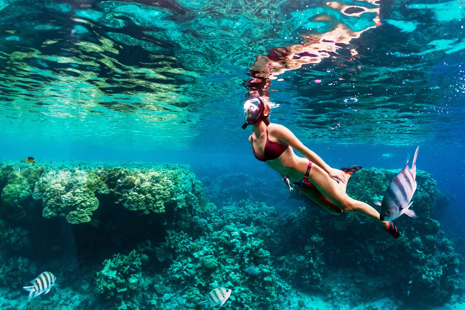 10 Best Places To Go Snorkeling In Puerto Vallarta What Is The Most 