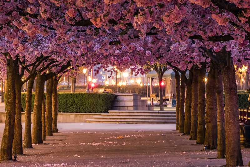 10 Most Instagrammable Places in Stockholm