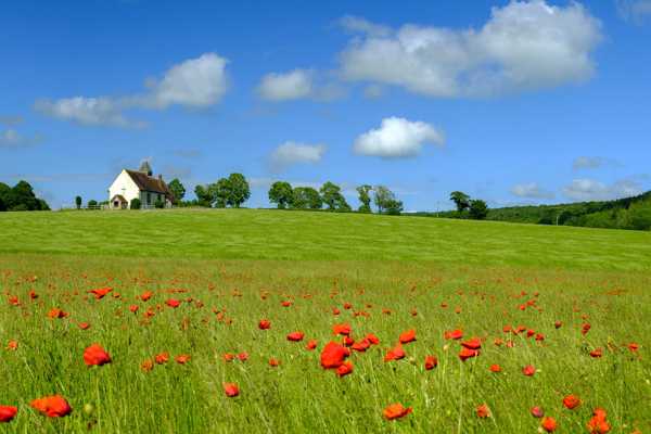 10 Best Things to Do in West Sussex