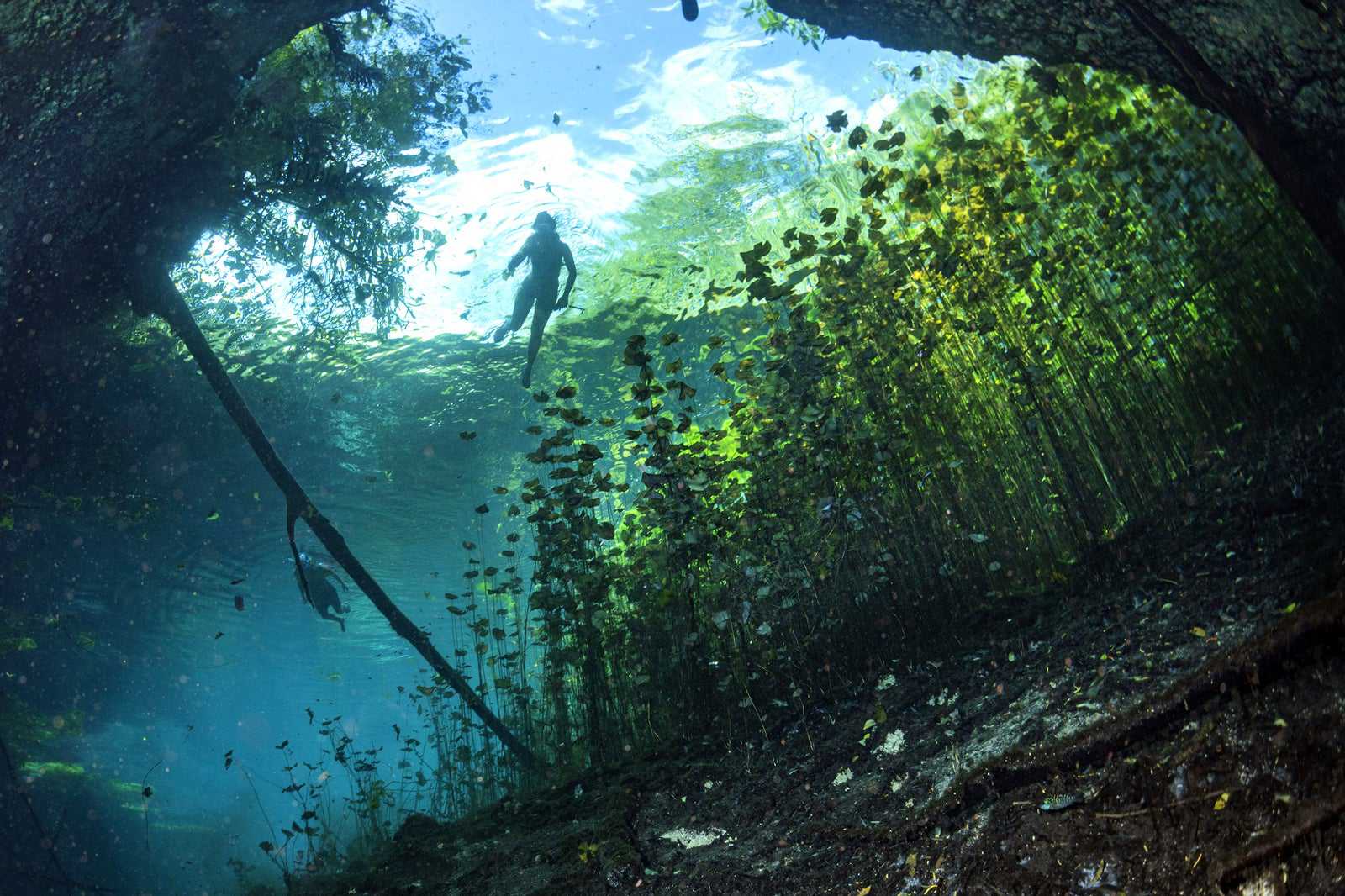 Cenote Arco Maya Tulum