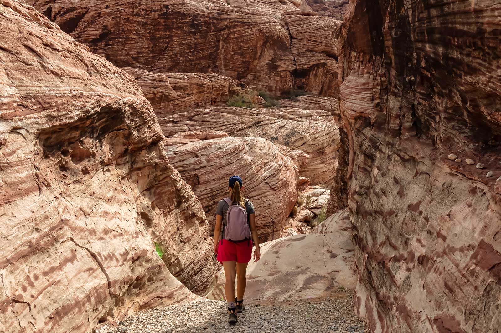 10 Best Hiking Trails in Las Vegas - Take a Walk Around Las Vegas' Most ...