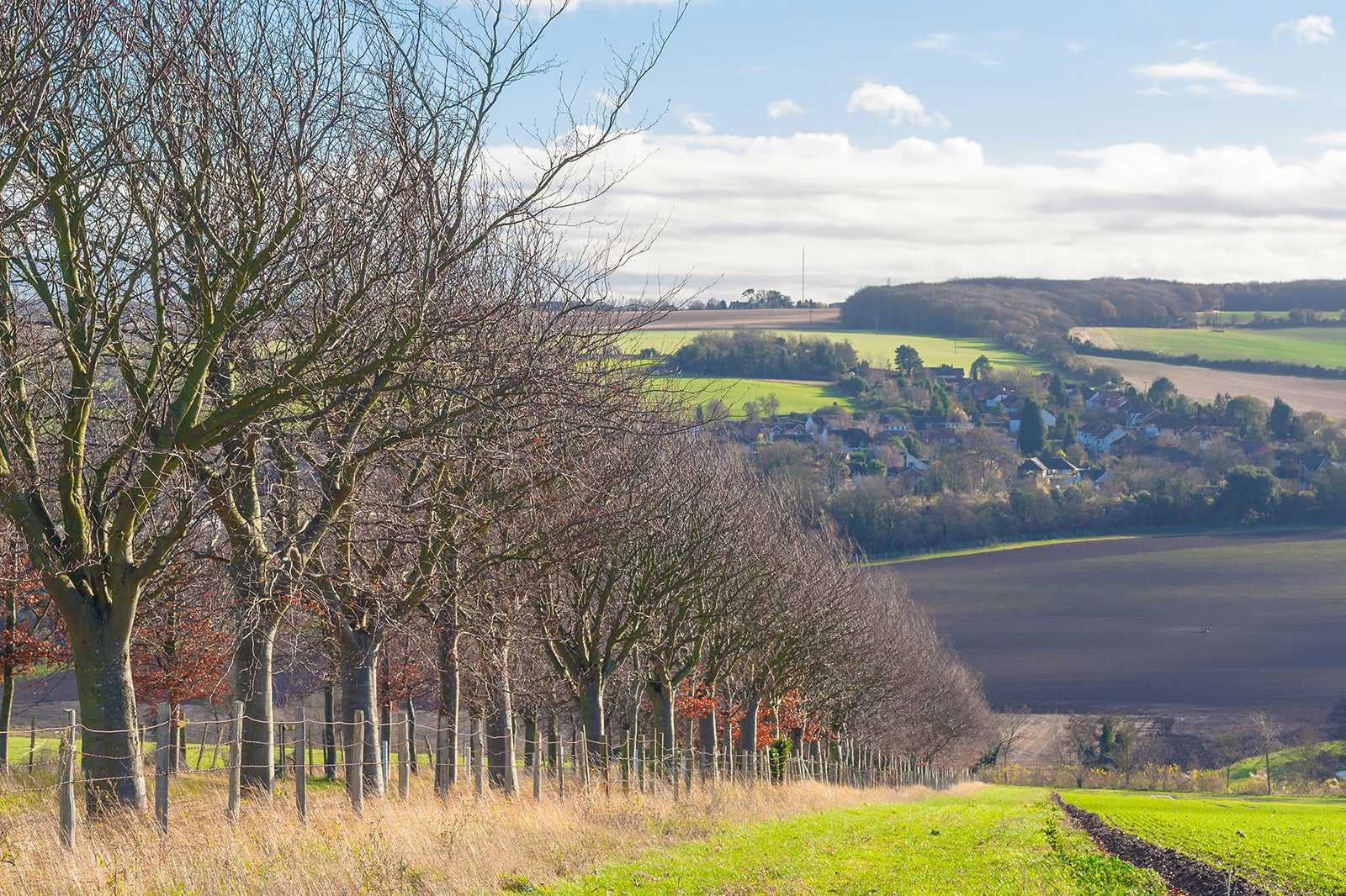 Darent Valley Path