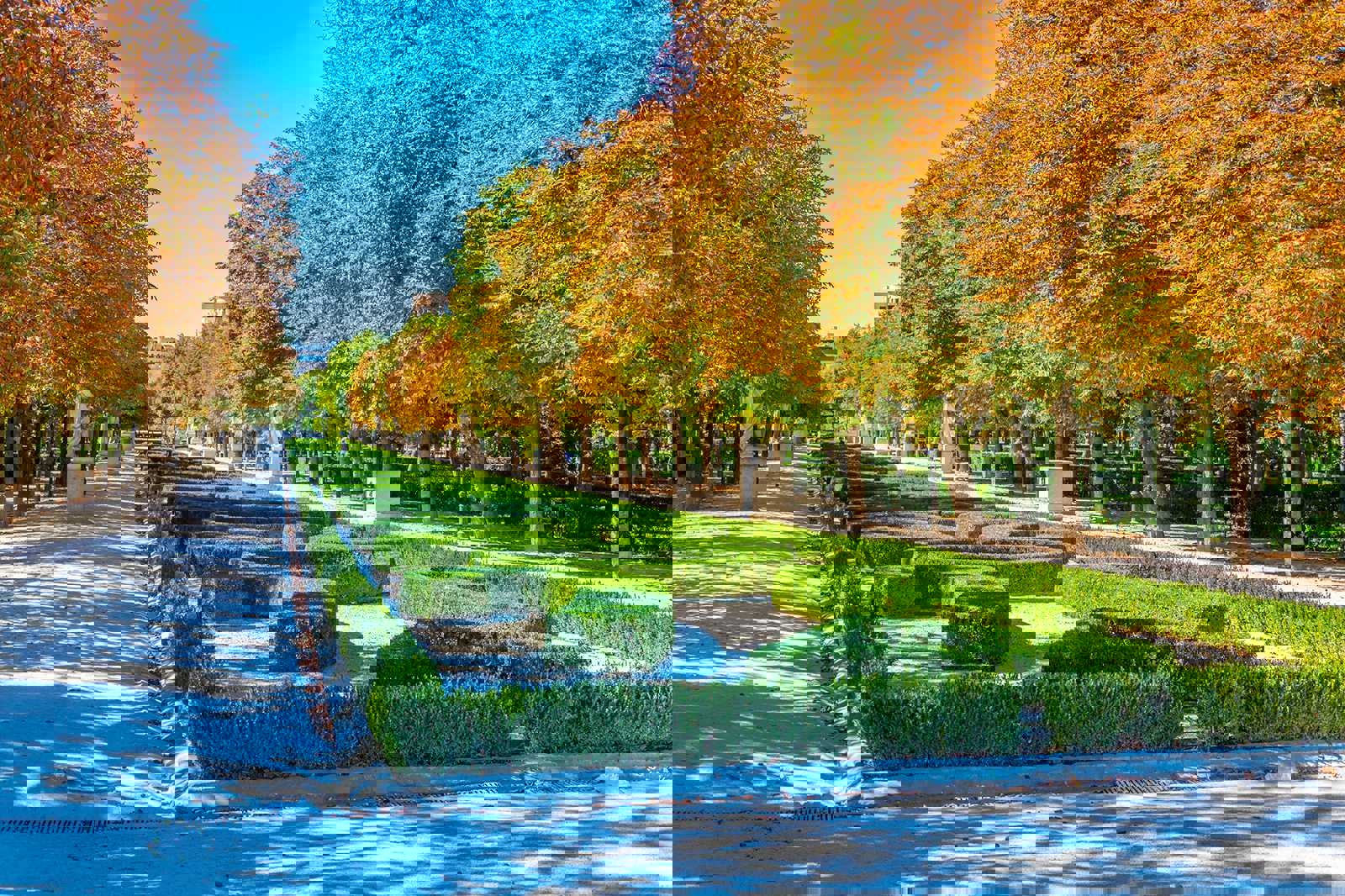 Madrid in bloom