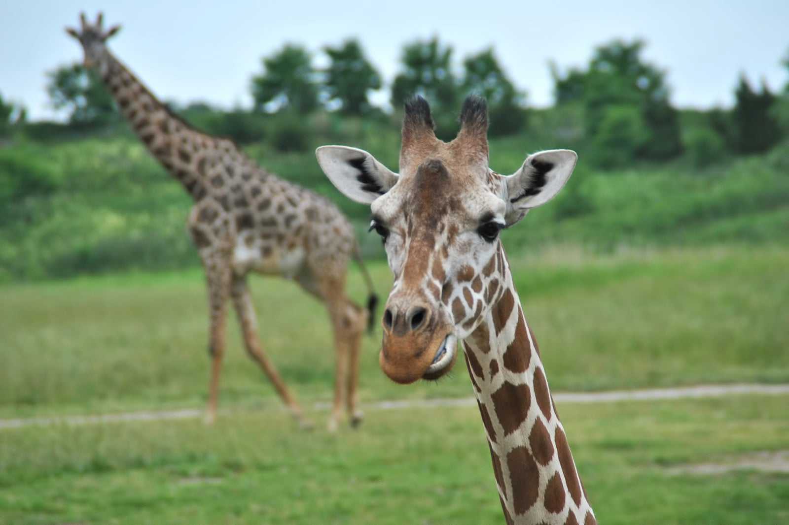 Columbus Zoo and Aquarium