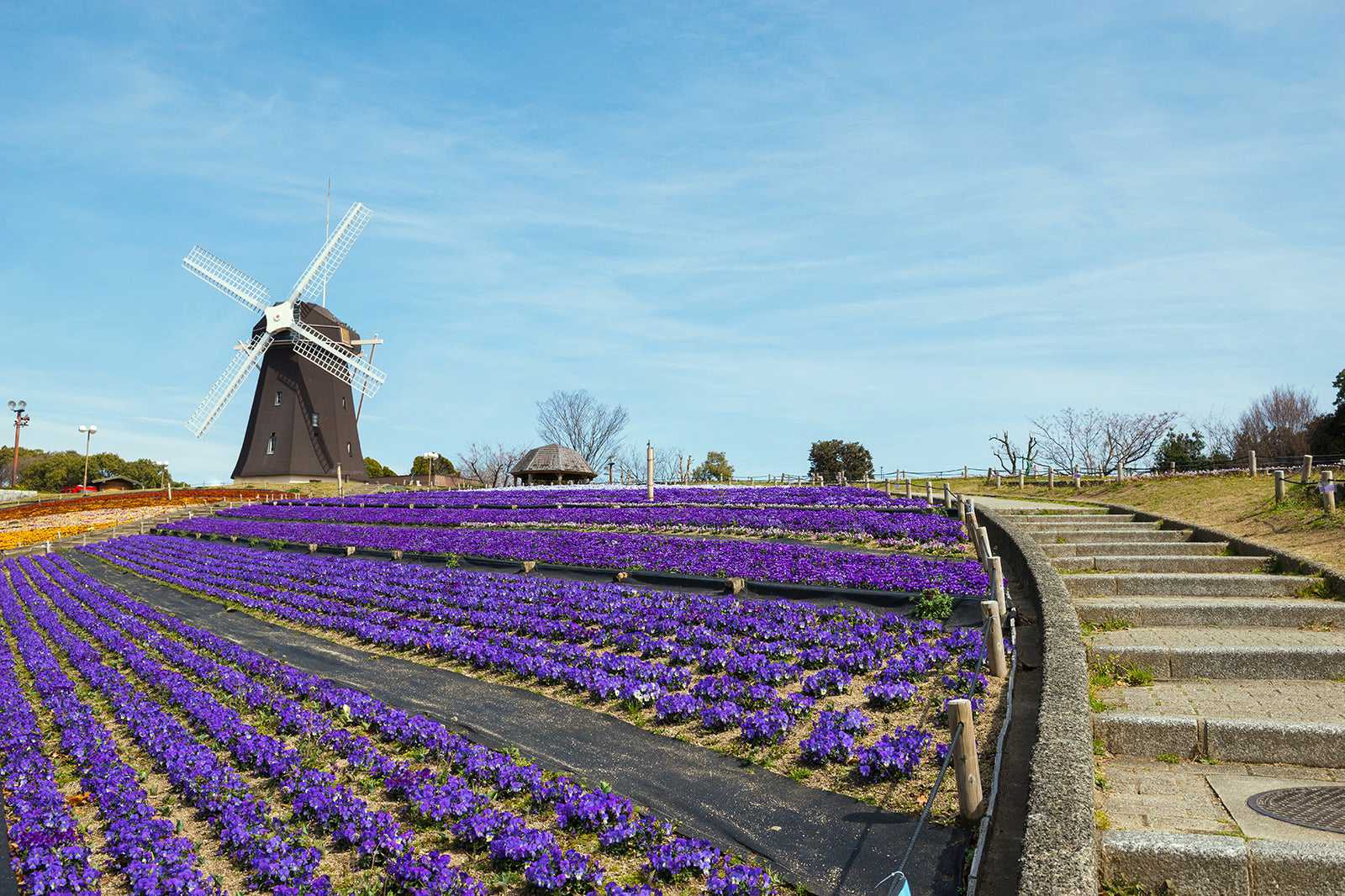 鹤见绿地世博'90纪念公园