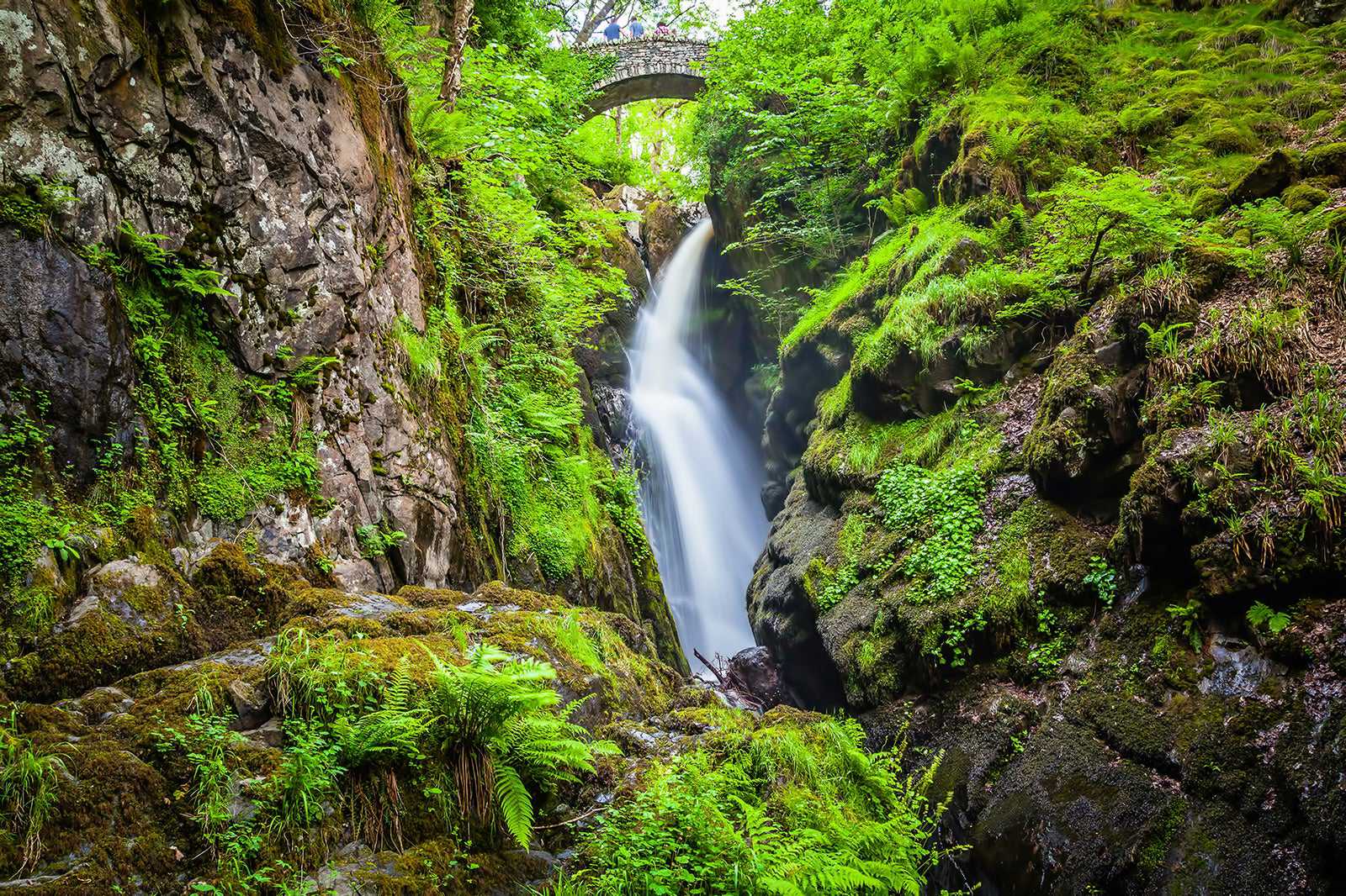 Aira Force