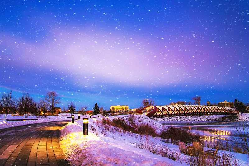 10 Best Things to Do in Calgary in Winter